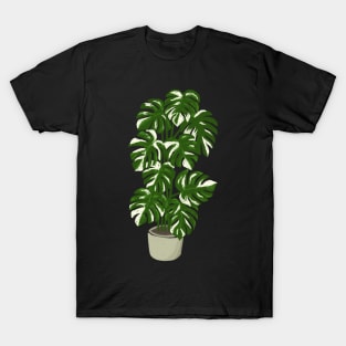 Monstera borsigiana variegated plant in a pot T-Shirt